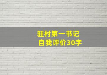 驻村第一书记自我评价30字