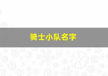 骑士小队名字