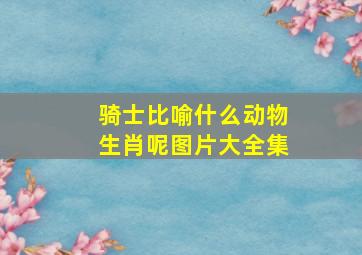 骑士比喻什么动物生肖呢图片大全集