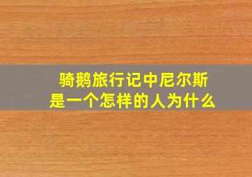 骑鹅旅行记中尼尔斯是一个怎样的人为什么