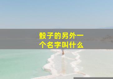 骰子的另外一个名字叫什么