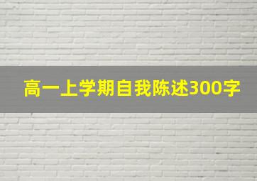 高一上学期自我陈述300字