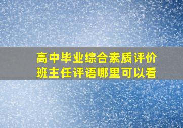 高中毕业综合素质评价班主任评语哪里可以看