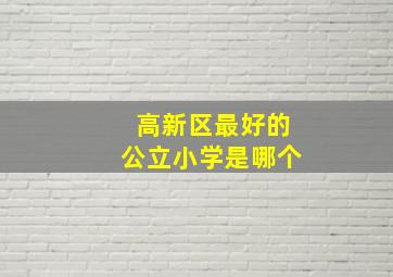 高新区最好的公立小学是哪个