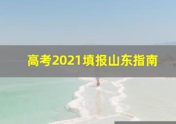 高考2021填报山东指南