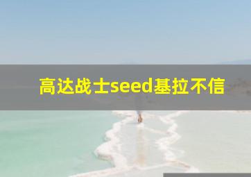 高达战士seed基拉不信