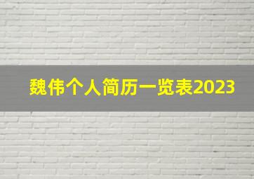 魏伟个人简历一览表2023