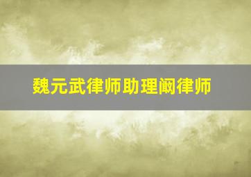 魏元武律师助理阚律师