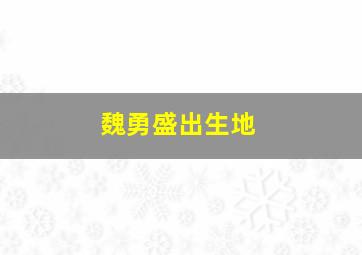 魏勇盛出生地