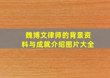 魏博文律师的背景资料与成就介绍图片大全