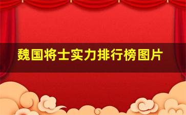 魏国将士实力排行榜图片