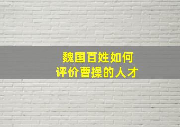 魏国百姓如何评价曹操的人才