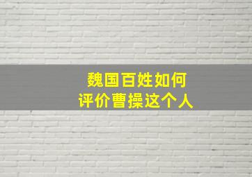 魏国百姓如何评价曹操这个人