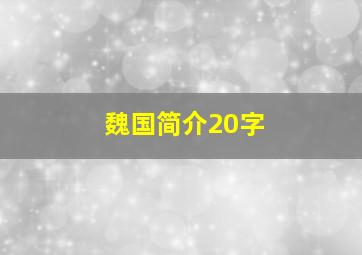 魏国简介20字