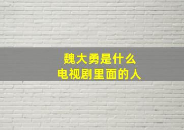 魏大勇是什么电视剧里面的人