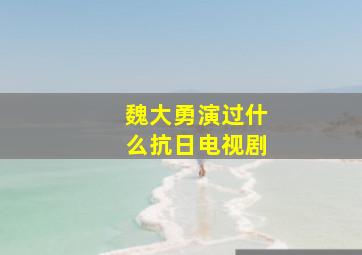 魏大勇演过什么抗日电视剧