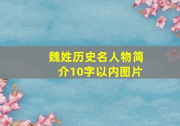 魏姓历史名人物简介10字以内图片