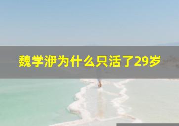 魏学洢为什么只活了29岁