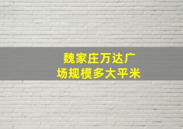 魏家庄万达广场规模多大平米