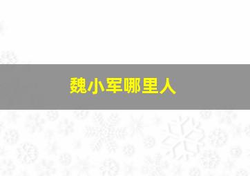 魏小军哪里人