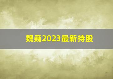 魏巍2023最新持股