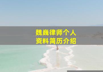 魏巍律师个人资料简历介绍