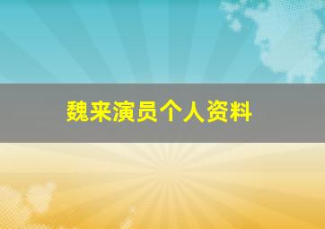 魏来演员个人资料