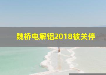 魏桥电解铝2018被关停