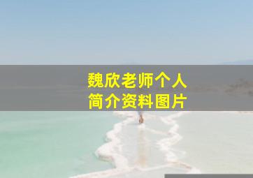 魏欣老师个人简介资料图片