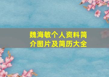 魏海敏个人资料简介图片及简历大全