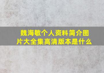 魏海敏个人资料简介图片大全集高清版本是什么