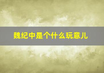 魏纪中是个什么玩意儿