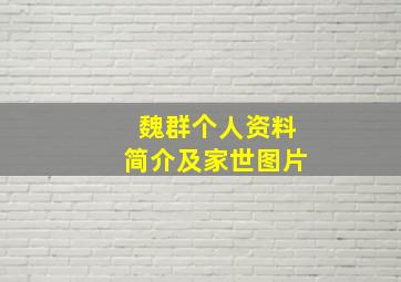 魏群个人资料简介及家世图片