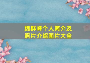 魏群峰个人简介及照片介绍图片大全