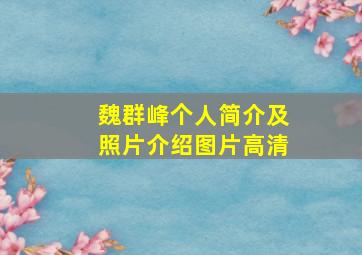 魏群峰个人简介及照片介绍图片高清