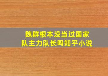 魏群根本没当过国家队主力队长吗知乎小说