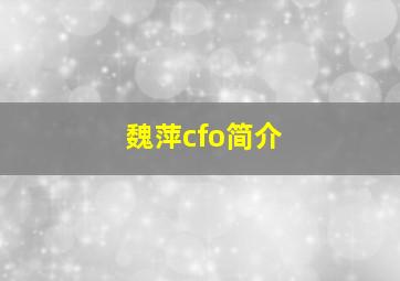 魏萍cfo简介