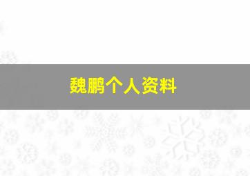 魏鹏个人资料