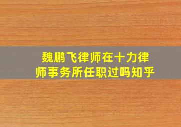 魏鹏飞律师在十力律师事务所任职过吗知乎