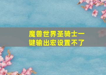 魔兽世界圣骑士一键输出宏设置不了