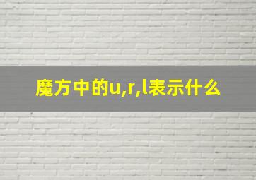 魔方中的u,r,l表示什么