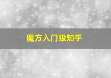 魔方入门级知乎