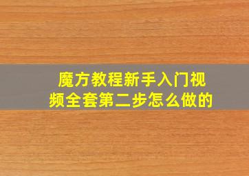 魔方教程新手入门视频全套第二步怎么做的