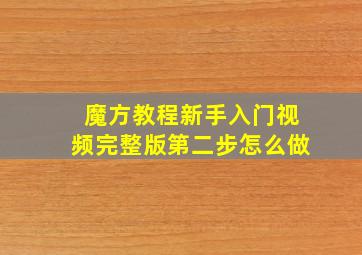 魔方教程新手入门视频完整版第二步怎么做