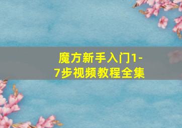 魔方新手入门1-7步视频教程全集