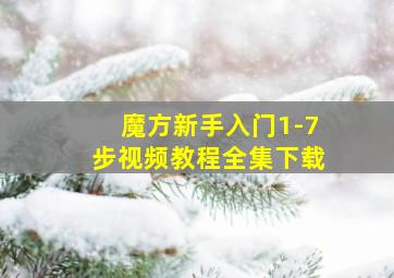 魔方新手入门1-7步视频教程全集下载