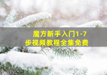 魔方新手入门1-7步视频教程全集免费