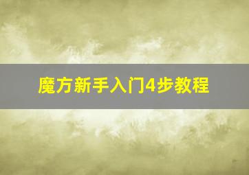 魔方新手入门4步教程