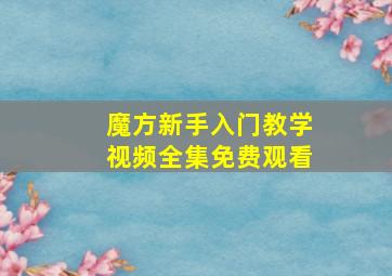 魔方新手入门教学视频全集免费观看