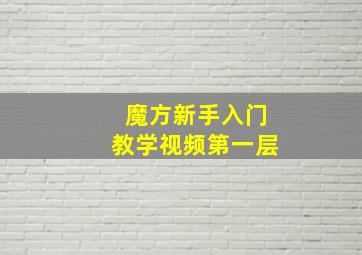 魔方新手入门教学视频第一层